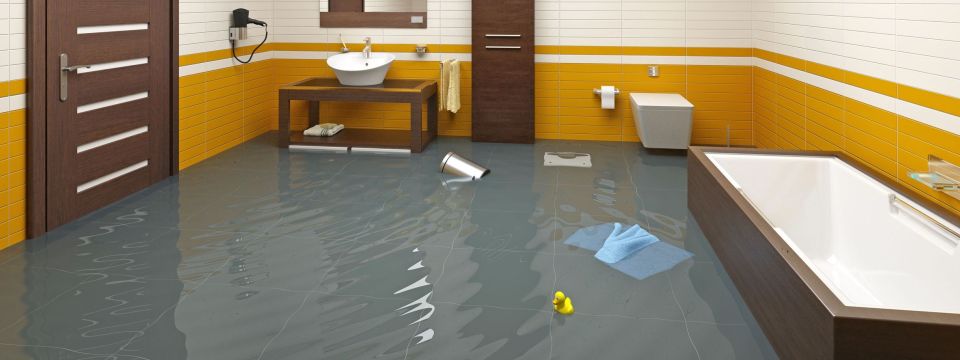 Water Restoration